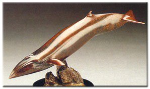 1/60 Scale Sei Whale