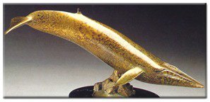 1/60 Scale Fin Whale