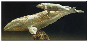 Gray Whale Cow & Calf II