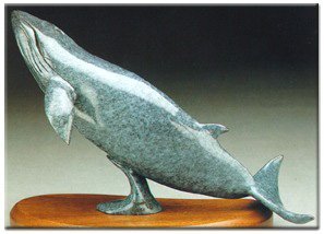 Minke Whale