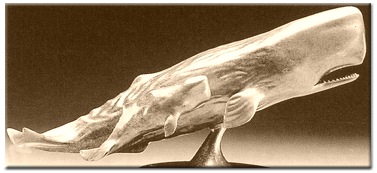 Sperm Whale Cow & Calf I