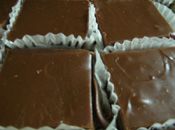 Image of Plainchocfudge