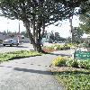 Image of 5 123431154215762 a
