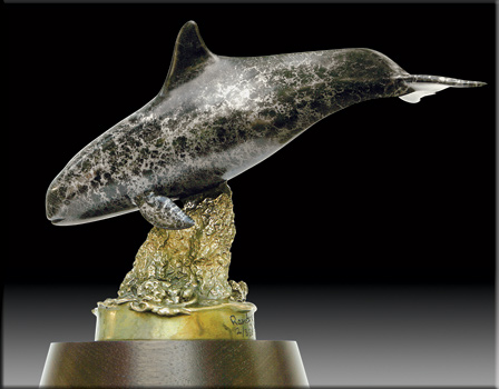 Vaquita