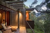 Tree House <i>(Photo: Kodiak Greenwood)</i>