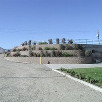 Scheid Vineyards, Greenfield