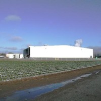 Uesugi Farms, Gilroy