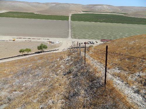 Agricultural and Industrial Projects