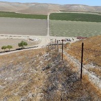 Rava Farms, King City