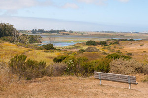 Imageabout Beautiful Elkhorn Slough 30 minutes North of us