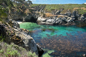 Imageabout Once Named One of the Seven Natural Wonders of the World, Point Lobos 15 minutes South of us