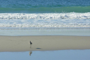 Imageabout Visit Carmel Beach. Home to one of the Most Spectacular White Sand Beaches on the Central Coast. Less than 15 minutes walking distance from the Carmel Fireplace Inn.