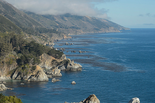 Image of Bigsurcoastbig