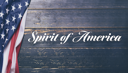 Image of SOA Logo Anedot(2)